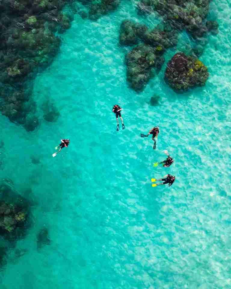 The Best Cruise Destinations for Scuba Diving: Dive into Adventure