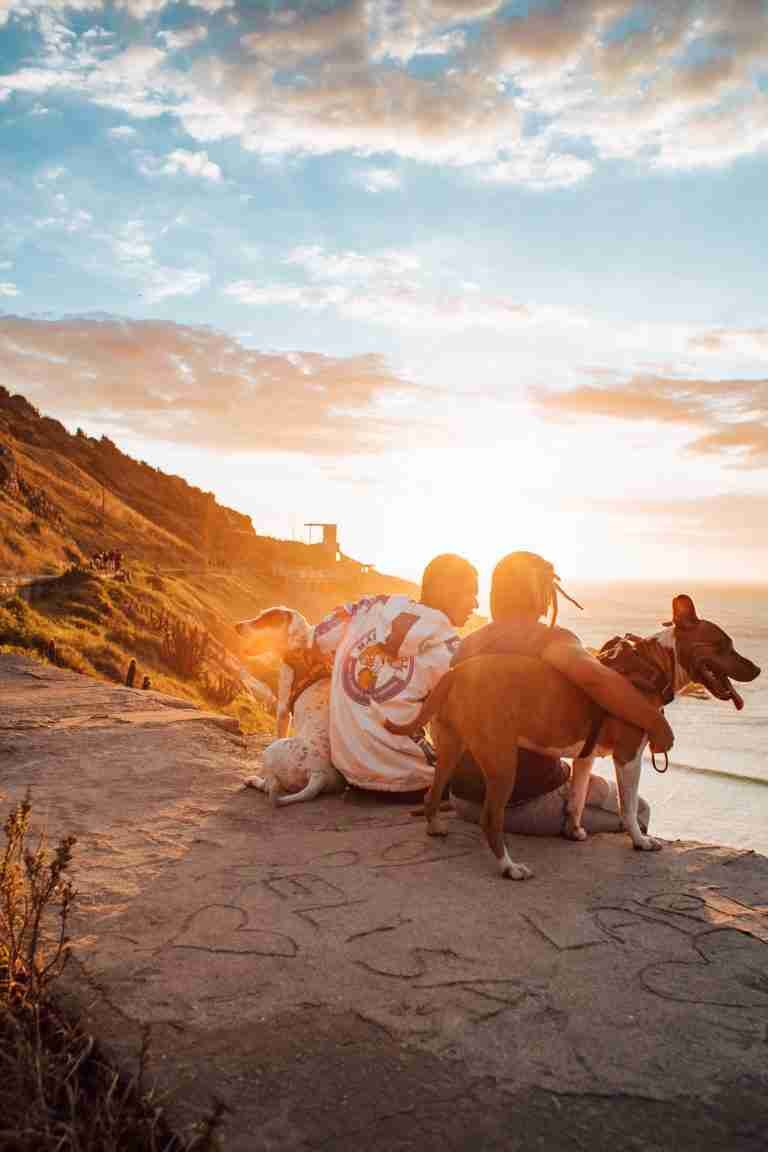 The Ultimate Guide to Traveling with Pets: Tips and Tricks